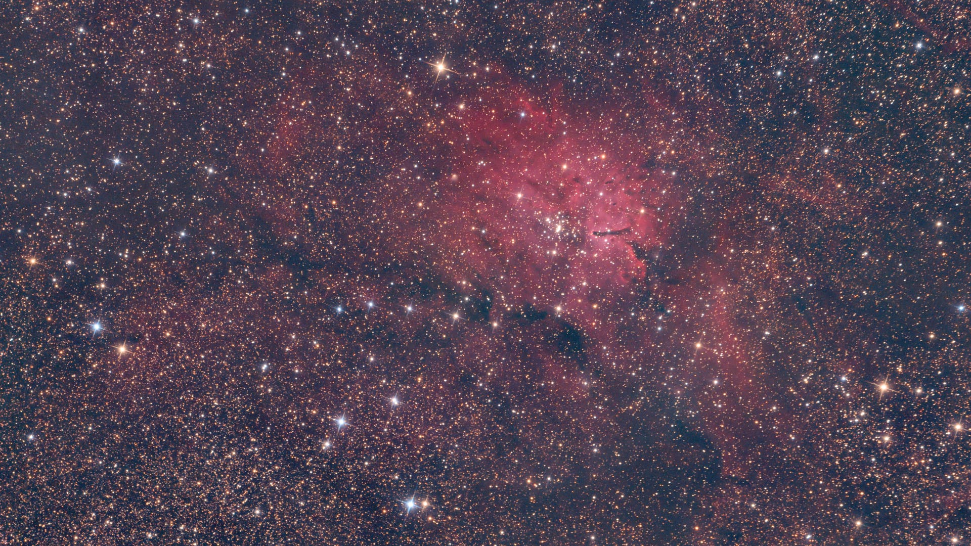 NGC 6820 Spektrum der Wissenschaft